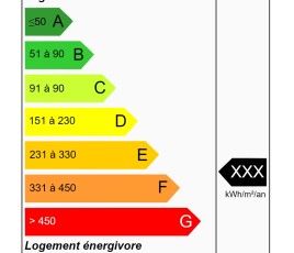 étiquette DPE diagnostic performance énergétique
