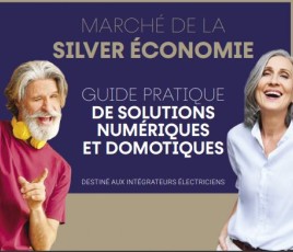 guide pratique silver économie