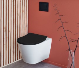 Abattant de WC