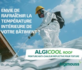Algicool Roof : la peinture réfléchissante qui s’adapte à tous les styles
