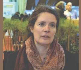 Clarisse Fischer déléguée générale CIBE Comité interprofessionnel du bois-énergie