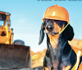 Vols sur les chantiers dans le BTP.