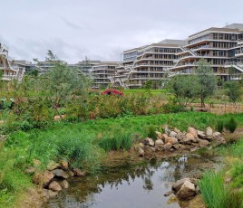 Arboretum construction bois campus bâtiments Nanterre