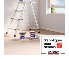 Rapport RSE Beissier