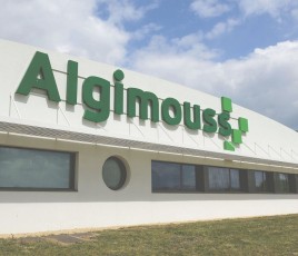 Algimouss rejoint PRB