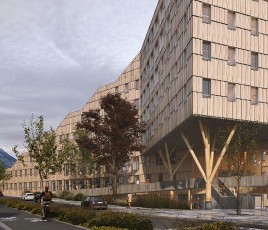 Wood Grenoble