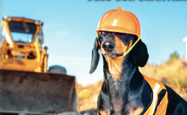 Vols sur les chantiers dans le BTP.