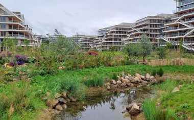Arboretum construction bois campus bâtiments Nanterre