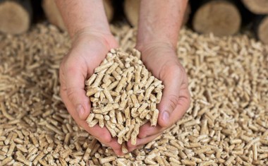 Pellets granulés de bois dans des mains