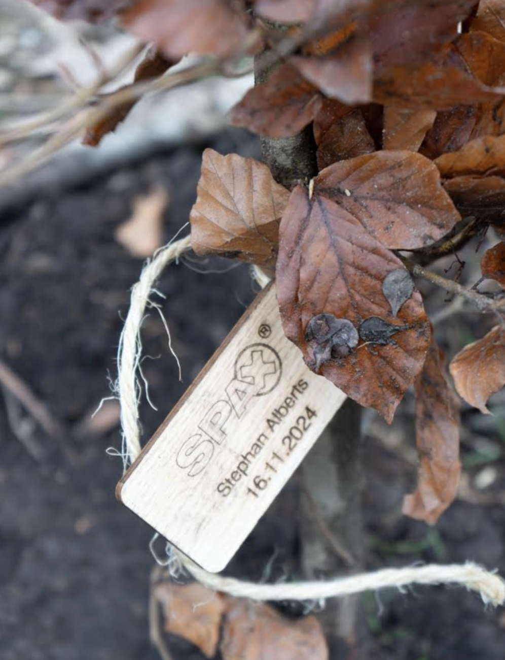 Plantation de 201 arbres à l'occasion des 201 ans du groupe ABC.