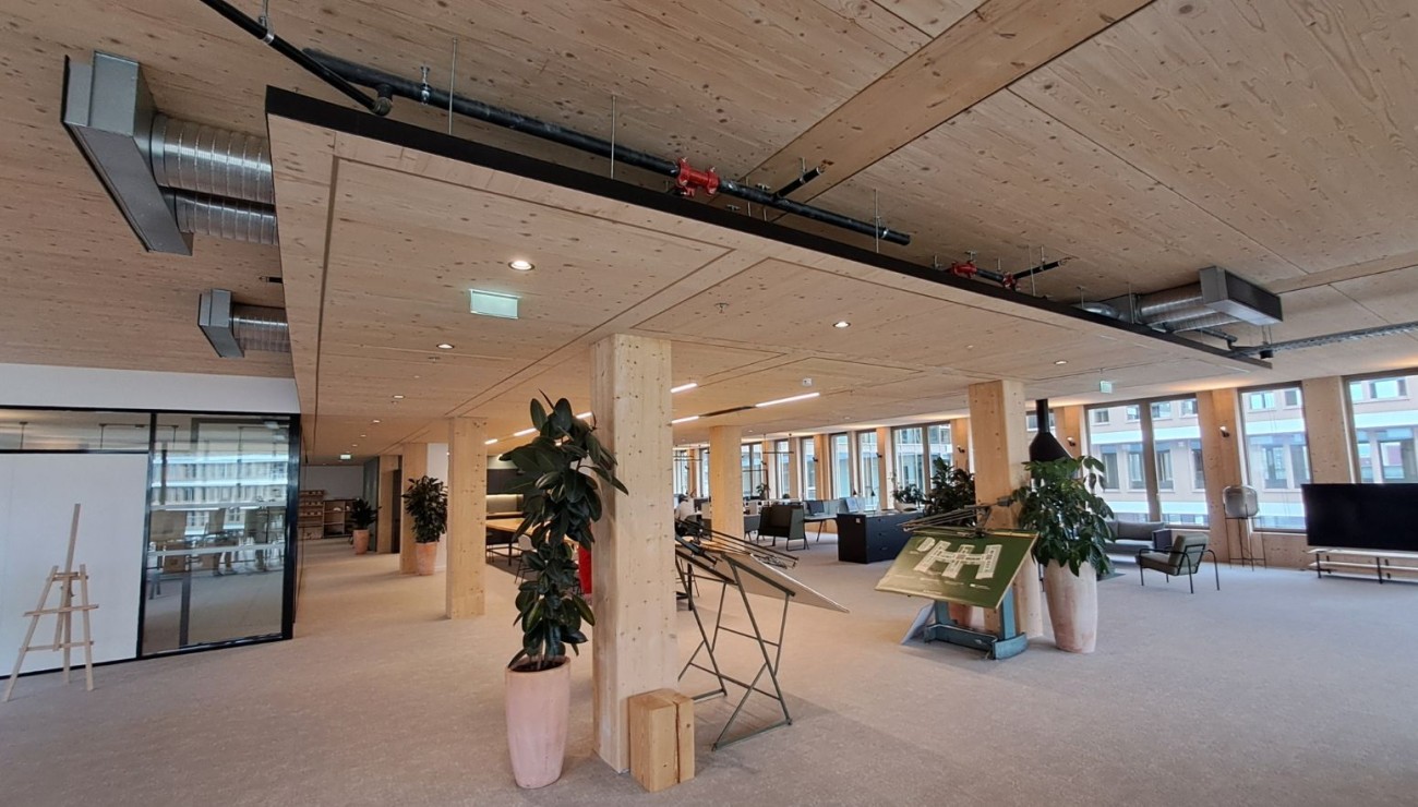 Arboretum construction bois campus bâtiments Nanterre