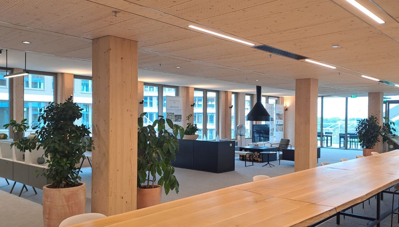 Arboretum construction bois campus bâtiments Nanterre