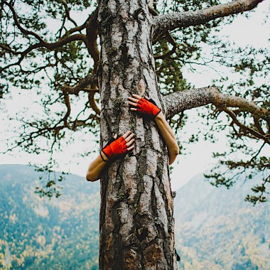 Le retour à la nature