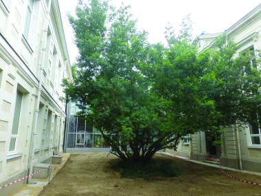 chantier collège Nantes 