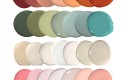 Peintures biosourcées