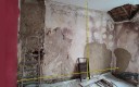 Chantier mérule rénovation réparation